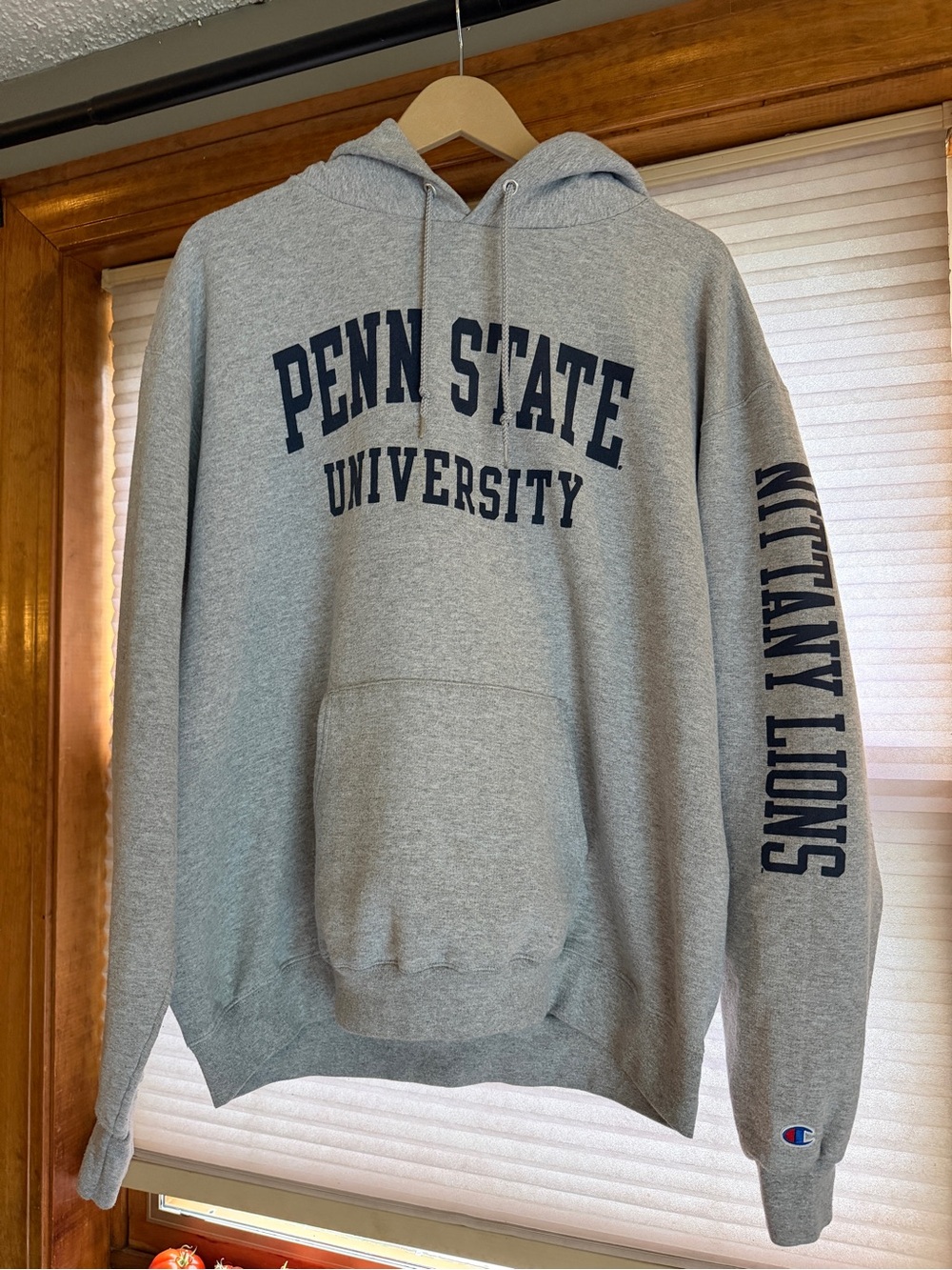 Champion Gray Penn State University Pullover Hoodie with Navy Lettering xl 0138